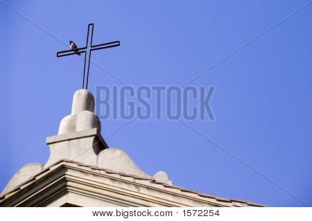 Birdoncross