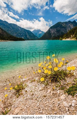 Vertical View Of Lake Plansee With Dandelions In Front