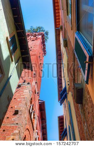 Torre Guinigi In Lucca, Tuscany, Central Italy