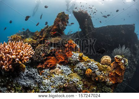 Underwater shoot of a shipwreck USAT Liberty with corals and fishes. Tulamben, Bali