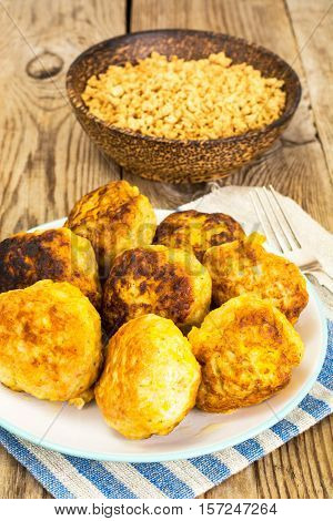 Delicious fried Minced Soy Cutlets Studio Photo