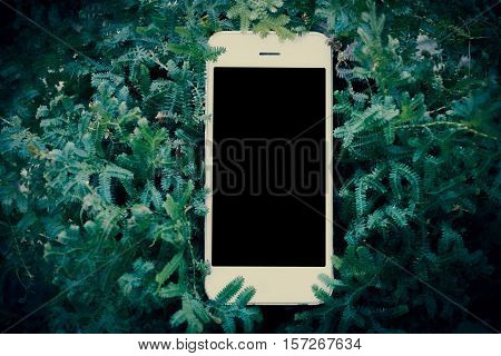 Mobile smart phone on green fearn with filter
