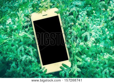 white smart phone on green fearn background
