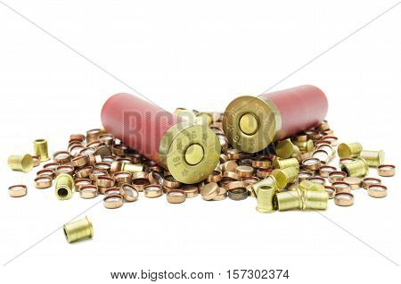 ammunition for hunting in the wild cartridges and capsules