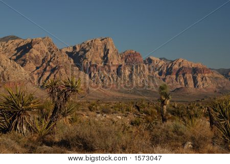 Desert Mountains