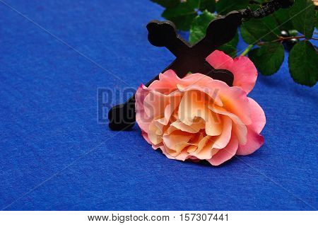 An orange rose with rosary beads isolated on a blue background
