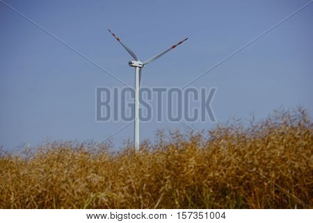 Windturbine At Sunny Day