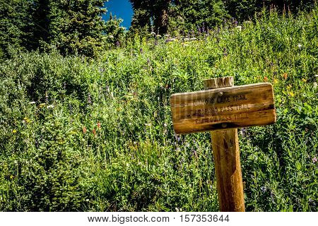 Wooden sign carved with arrows and directions along the Arapahoe Pass Trail in the Colorado Rockies