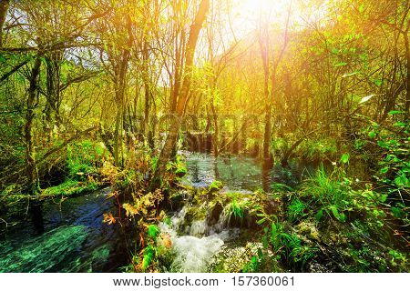 Amazing River With Crystal Clear Water Among Green Woods