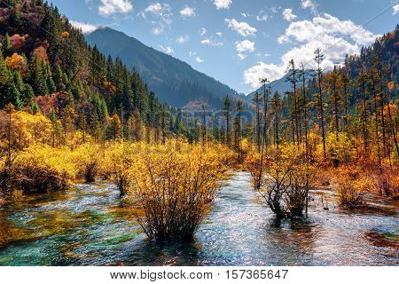 Amazing River With Crystal Water Among Fall Forest And Mountains
