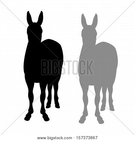 Donkey vector illustration  black silhouette set  front