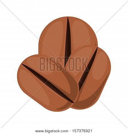 coffee beans in different sizes vector illustration
