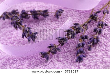 flores de lavanda, aromaterapia, relajación