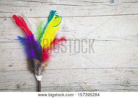 Colorful Feathers Background