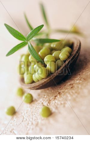 ถั่วลันเตาสดจากสวนผัก