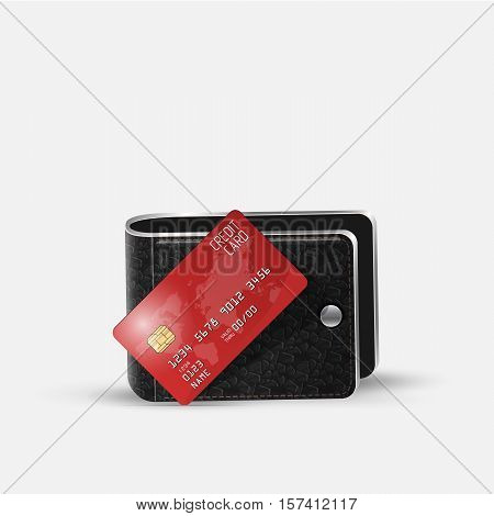 Realistic vector credit card and Leather Wallet. Business and finance