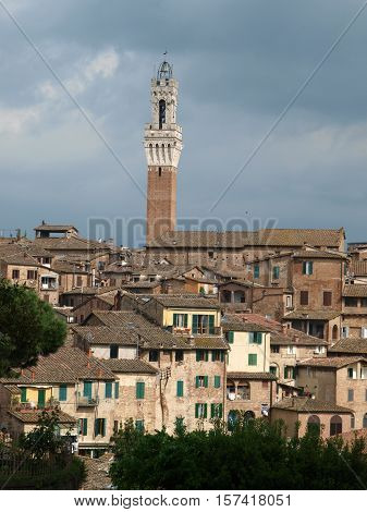 Siena - panorama of the old part of town with a slender tower Torre del Manga