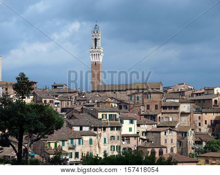 Siena - panorama of the old part of town with a slender tower Torre del Manga