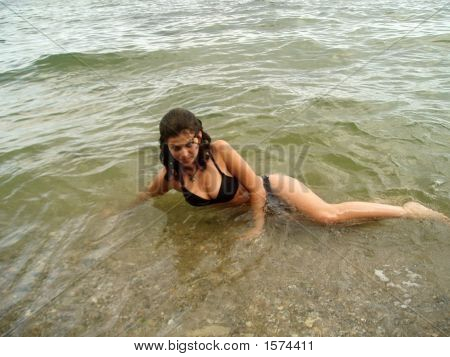 ไซเรนซี