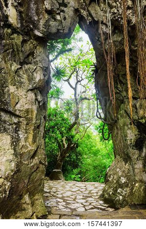 Scenic View Of Gate In Rocks And Brick Walkway Leading To Woods