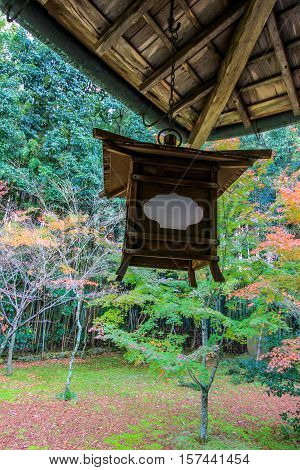 Kotoin Temple in autumn (Norther Kyoto, Japan)