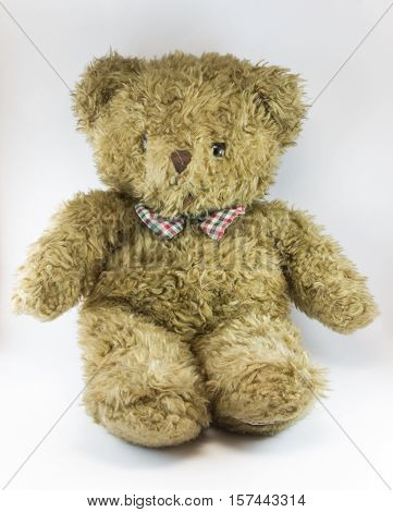 Isolated Cute Teddy Bear with white background