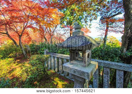 Kotoin Temple in autumn (Norther Kyoto, Japan)