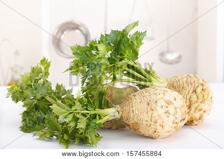 Fresh celery with root leaf in a kitchen