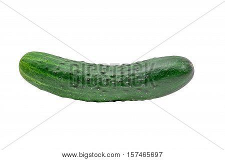 Fresh ripe cucumber on white background isolated