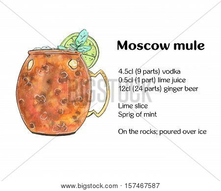 Hand Drawn Watercolor Cocktail Moscow Mule Vodka Buck On White Background