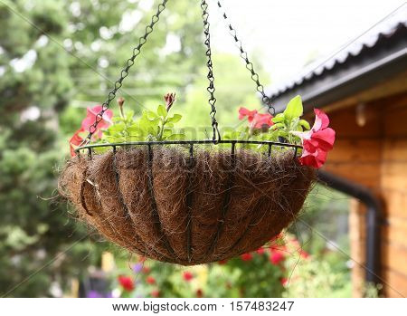flower basket hang close up photo on the wooden cottage house background
