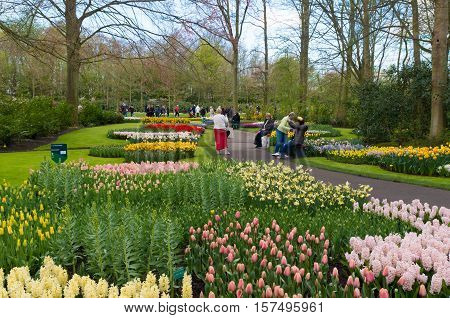 LISSE NETHERLANDS - APRIL 17 2016: Unknown tourists enjoying the beautiful blooming tulips in the famous keukenhof gardens
