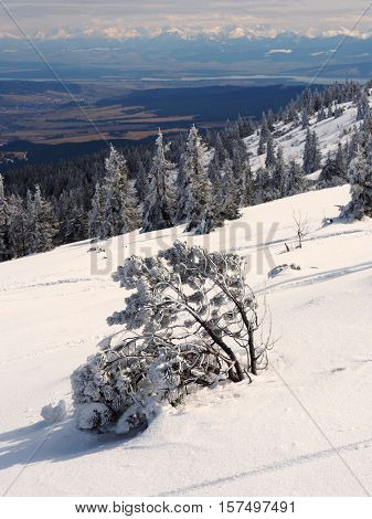 Winter in polish mountains     