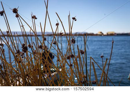 Isla Uros (Uros island) at Lake Titicaca, Peru