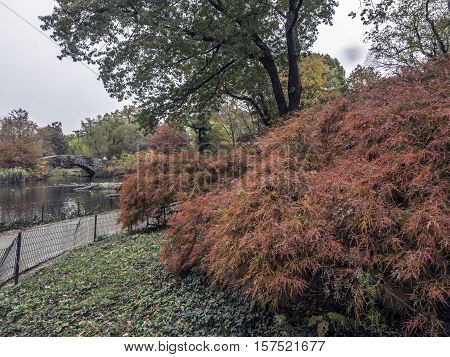Gapstow Bridge is one of the icons of Central Park Manhattan in New York City