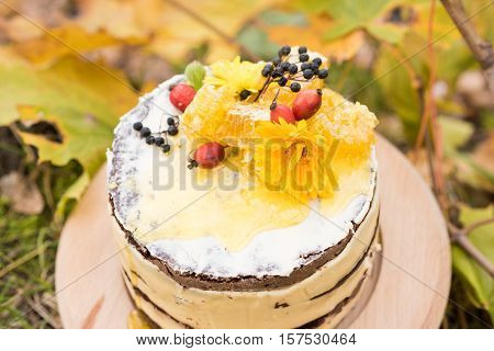 Beautiful cake with flowers, honey and berries outdoors