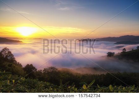 Beautiful sunrise view and sea of clouds from Phuhuayesan in Nong khai provience, Thailand.