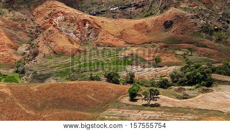 Malagasy Farm With Terraced Fields