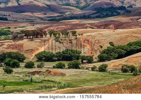Traditional Madagascar Hill Landscape