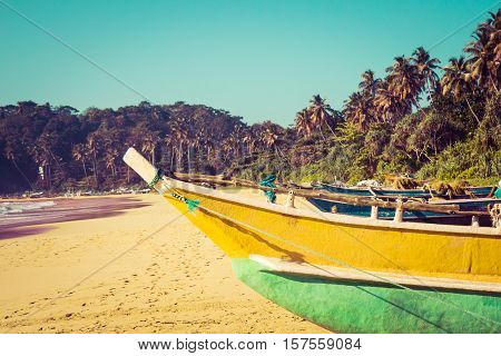 Fishing boats on a tropical beach with palm trees and mangroves in the background