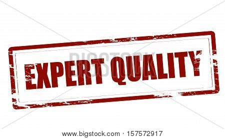 Rubber stamp with text expert quality inside vector illustration