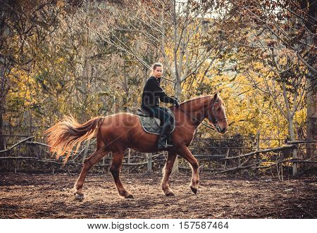 Young beautiful brunette girl rides a horse on a warm and sunny autumn day. Portrait of a pretty young woman on the horse, wearing tall boots and gloves.