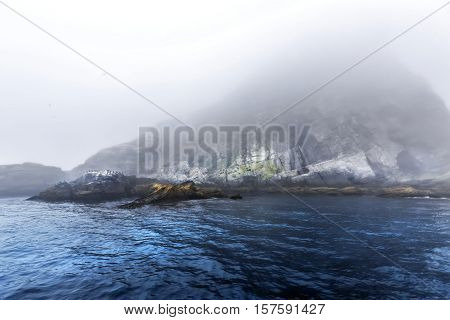 Majestic Sea And  Flocks Of Birds Sitting On Rocks In Heavy Fog.