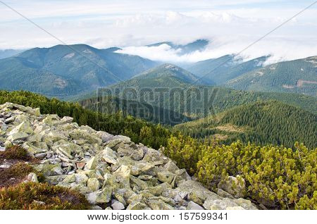 Carpathian mountains in autumn. Day. Stones against the hill covered with pine forest creeping pine and fluffy white clouds