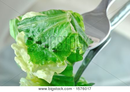 Insalata fresca