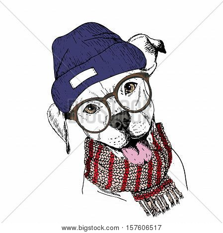 Vector hand drawn portrait of cozy winter dog. Pit bull wearing knitted scarf beanine andhipster glasses. Winter cozy seasonal print. Sketched poster. Use for flyer poster clothing prints.