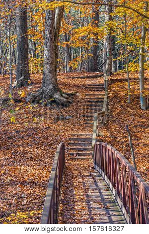 A wooden footbridge and steps up the mountainside on this hiking trail in Smithville Park in Burlington County New Jersey.