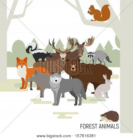 Forest animals vector. Moose, wild boar, bear, fox, rabbit wolf skunk raccoon deer squirrel hedgehog
