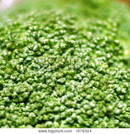 Broccoli