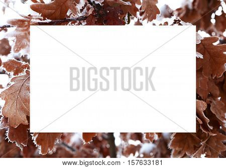 nature in winter and cold season winter landscapes and facilities photos micro-stock